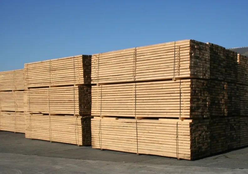 vS INVEST nv staat voor import en export van hout.